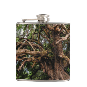 Rustic Old Olive Tree Hip Flask