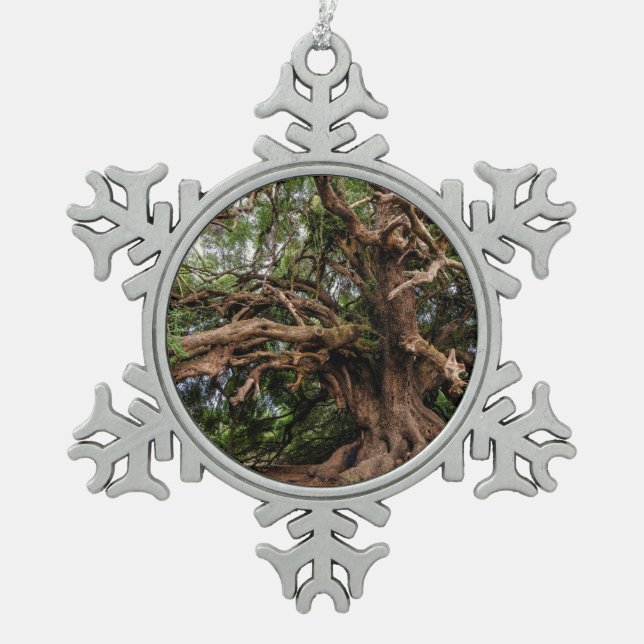 Rustic Old Olive Tree Snowflake Pewter Christmas Ornament (Front)