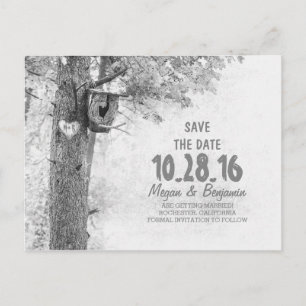 Rustic old tree black & white save the date announcement postcard