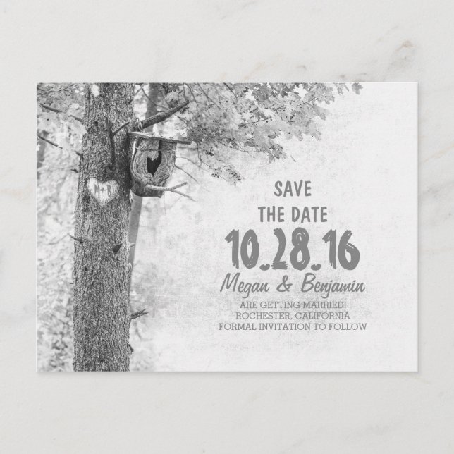 Rustic old tree black & white save the date announcement postcard (Front)