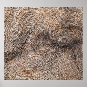 Rustic old wood, textured background poster