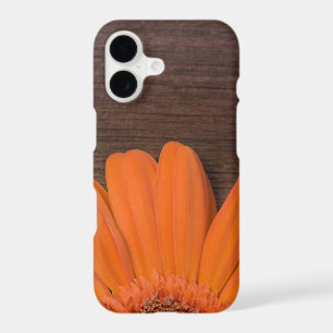 Rustic Orange Daisy and Barn Wood