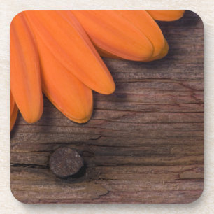 Rustic Orange Daisy and Barn Wood Coaster