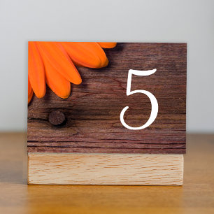 Rustic Orange Daisy Barn Wedding Table Numbers