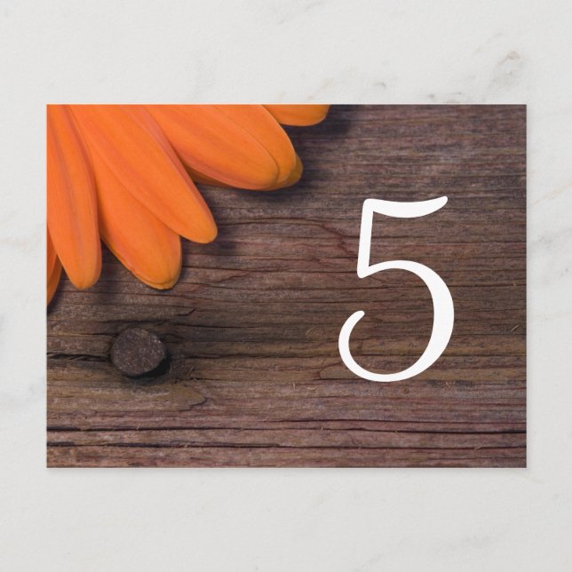 Rustic Orange Daisy Country Wedding Table Numbers Postcard (Front)