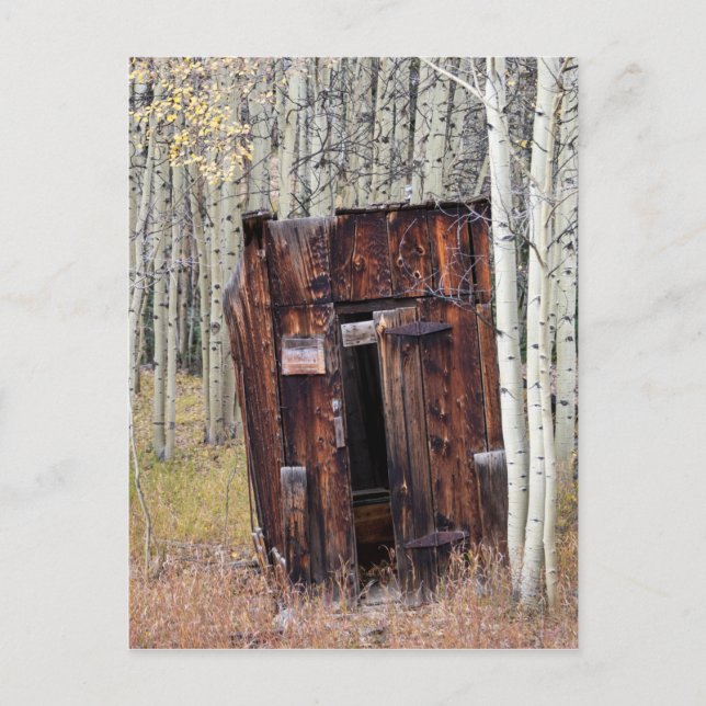 Rustic Outhouse in the Aspen St Elmo Colorado Postcard (Front)