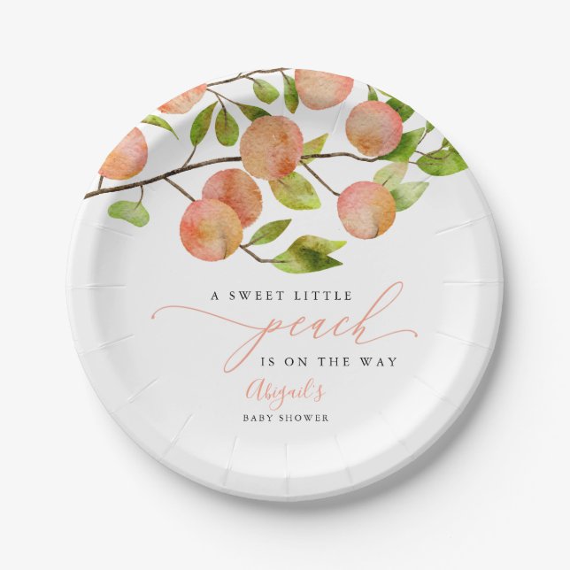 Rustic Peach Theme Baby Shower Paper Plate (Front)