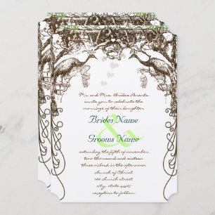 Rustic Peacock Vintage Love Birds Invitation