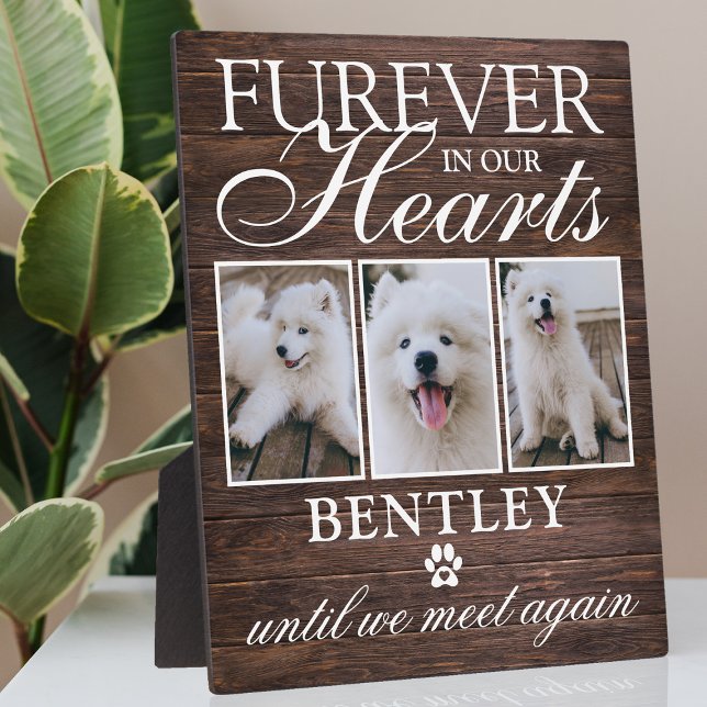 Rustic Pet Dog Memorial Photo Keepsake Plaque (Creator Uploaded)