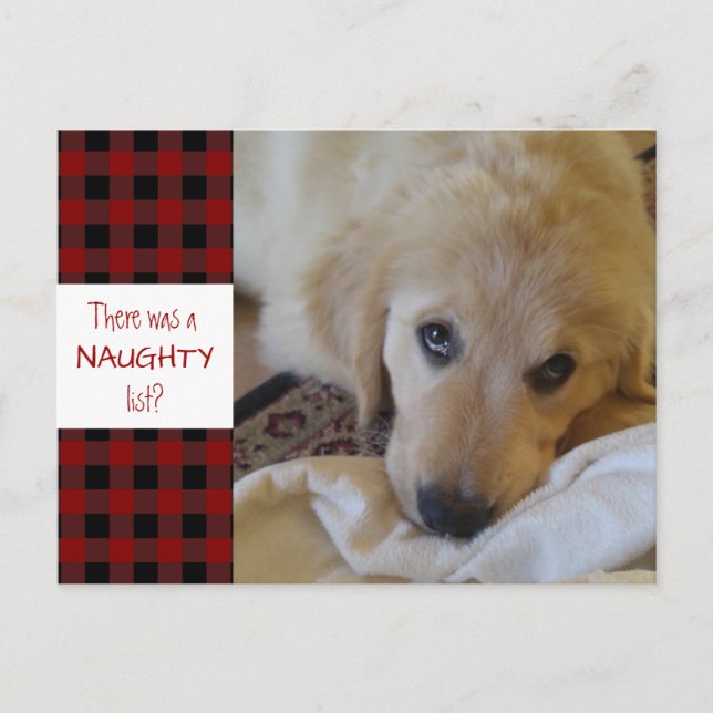 Rustic Pet NAUGHTY LIST Red Buffalo Plaid Funny Holiday Postcard (Front)
