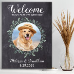 Rustic Pet Wedding Welcome Personalized Dog Photo Poster<br><div class="desc">Welcome ~ To My Parents Weddings! Include your best dog, best cat and any pet in your wedding with his own pet wedding welcome sign for your guests. Perfect for dog lovers, makes the perfect wedding dog sign. Simple yet elegant rustic chalkboard slate with eucalyptus leaves. Customize this wedding pet...</div>