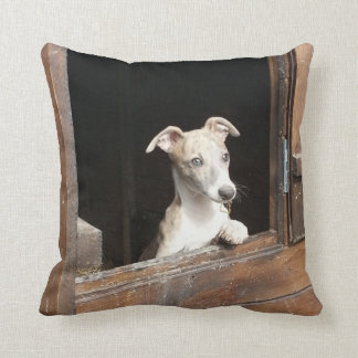 Rustic Pillow