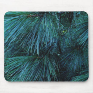 Rustic Pine trees   pine forest   green conifers Mouse Pad