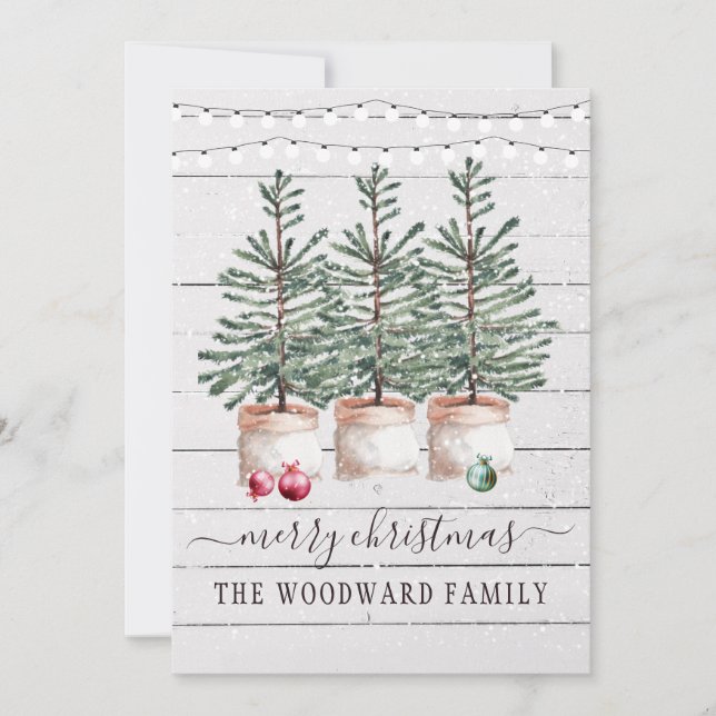 Rustic Pine Trees Snow Christmas Cards (Front)