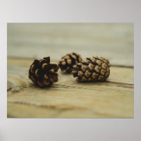 Rustic Pinecones On Wood Nature Still Life Photo