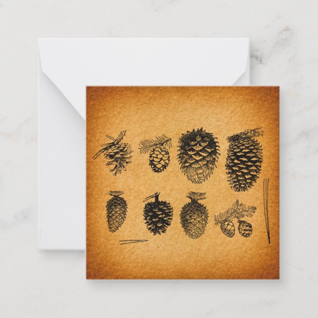 Rustic Pinecones Pine Cone Artwork Antique Design Card (Front)