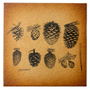 Rustic Pinecones Pine Cone Artwork Antique Design Ceramic Tile