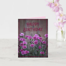 Rustic Pink Dianthus Flowers Birthday