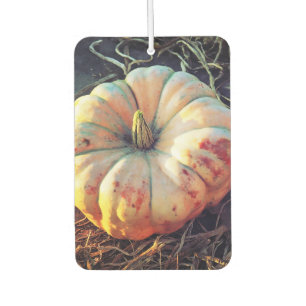 Rustic Pumpkin Car Air Freshener