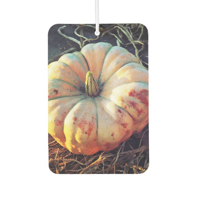Rustic Pumpkin  Car Air Freshener (Front)