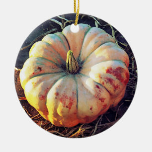 Rustic Pumpkin Ceramic Ornament