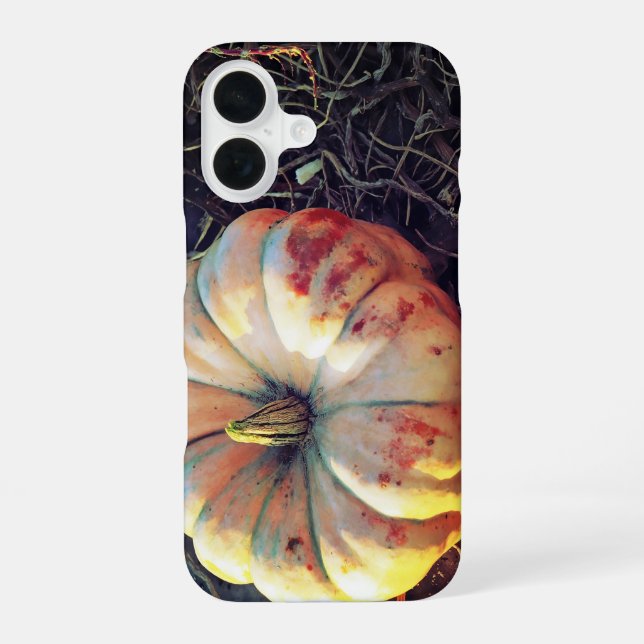 Rustic Pumpkin  iPhone 16 Case (Back)