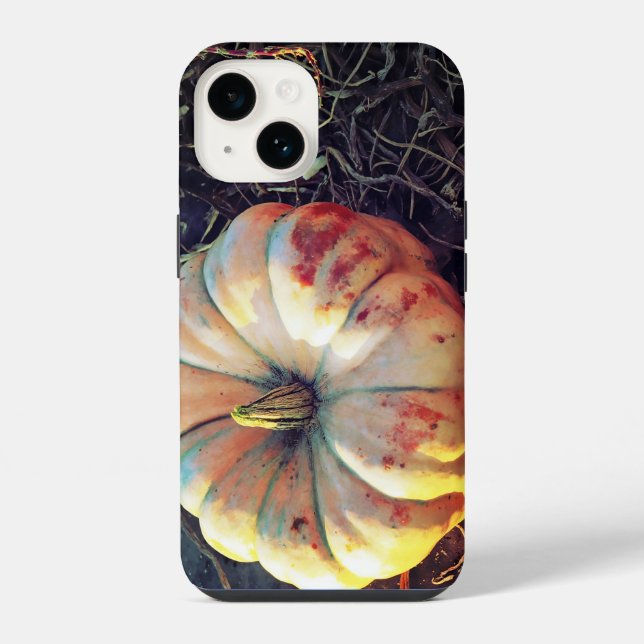 Rustic Pumpkin  iPhone Case (Back)