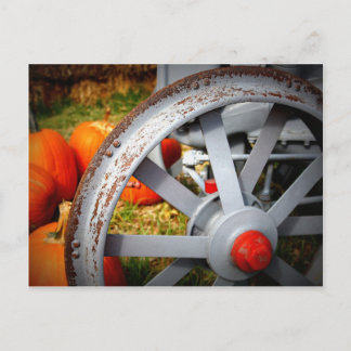 Rustic Pumpkins Postcard