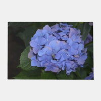 Rustic Purple Hydrangea macrophylla 