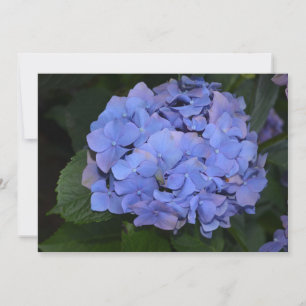 Rustic Purple Hydrangea macrophylla Invitation