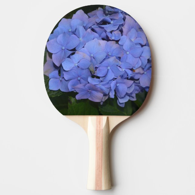 Rustic Purple Hydrangea macrophylla  Ping Pong Paddle (Front)