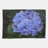 Rustic Purple Hydrangea macrophylla