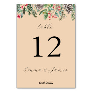 Rustic red holly and fir cone table number