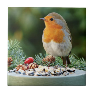 Rustic-Red Robin, Songbird Ceramic Tile