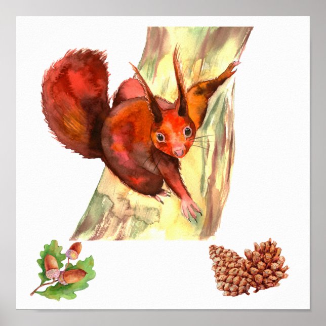 Rustic Red Squirrel Acorns Pine Cones Poster (Front)