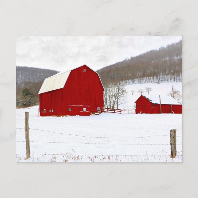 Rustic Red Wood Barns in a Snowy Winter Farm Scene Postcard (Front)