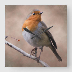Rustic Robin Clock