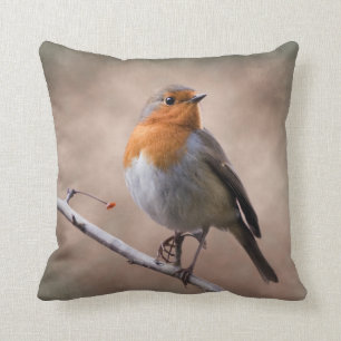 Rustic Robin Pillow