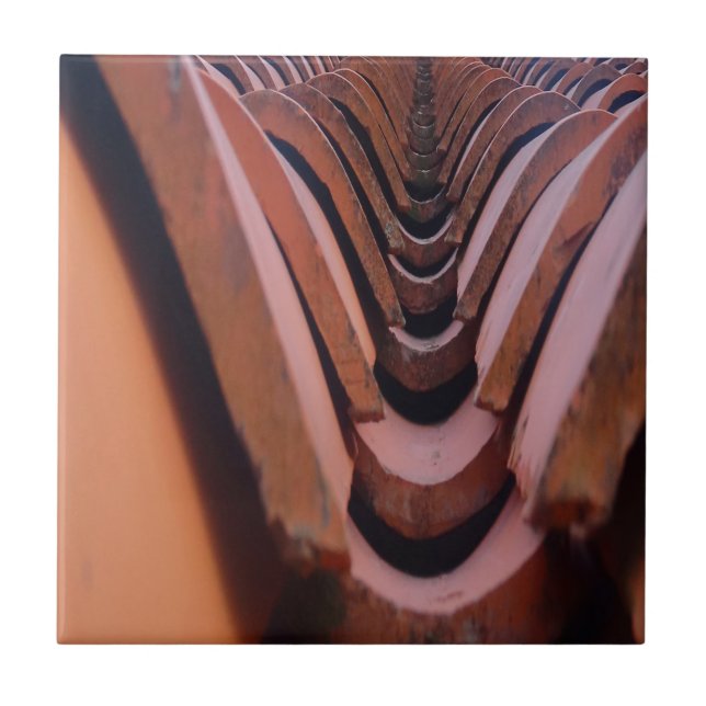 Rustic Roof Tiles with Unique Perspective   (Front)