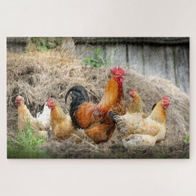 Rustic Rural Farm Rooster Chickens Nature Animals Jigsaw Puzzle (Horizontal)
