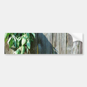 Rustic Sage Bumper Sticker