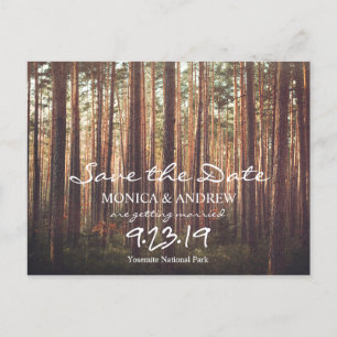 Rustic Save the Date Forest Tree Postcard