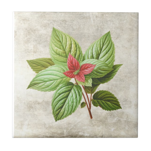 Rustic Shabby Chic Greenery Cottage Ceramic Tile (Front)