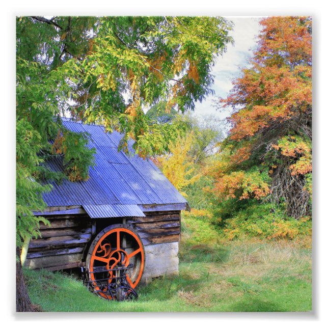 Rustic Shed Landscape Photo Print (Front)
