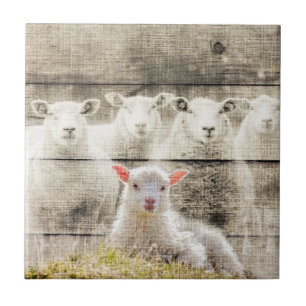 Rustic Sheep Baby Lamb Burlap Ceramic Tile