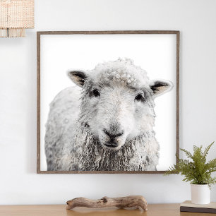Rustic Sheep Minimalist Modern Country Farmhouse Poster