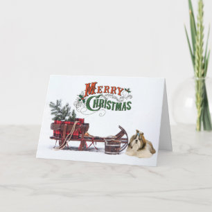 Rustic Shih Tzu Christmas Card