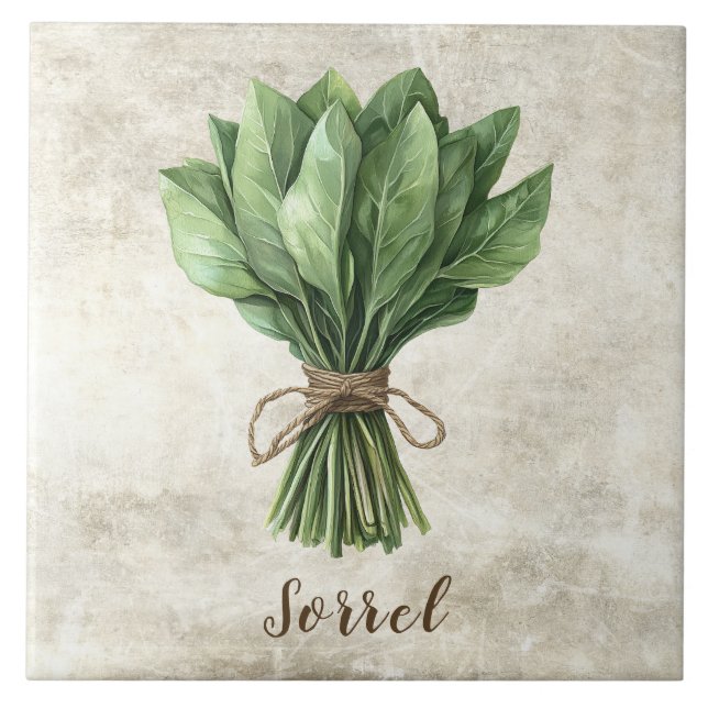 Rustic Sorrel Herb Faux Ceramic Tile (Front)