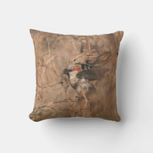 Rustic Sparrow Birds Woodland Wildlife Photography