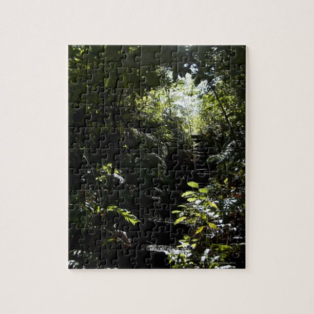 Rustic staircase/footpath in forest, sunlight jigsaw puzzle (Vertical)